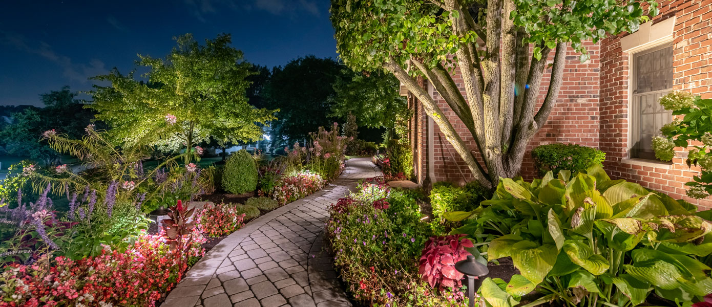 A brick walkway with trees and bushes at night
